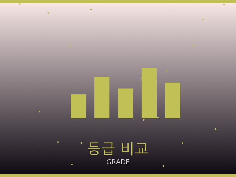 25 레플리카 등급 기준 비교
